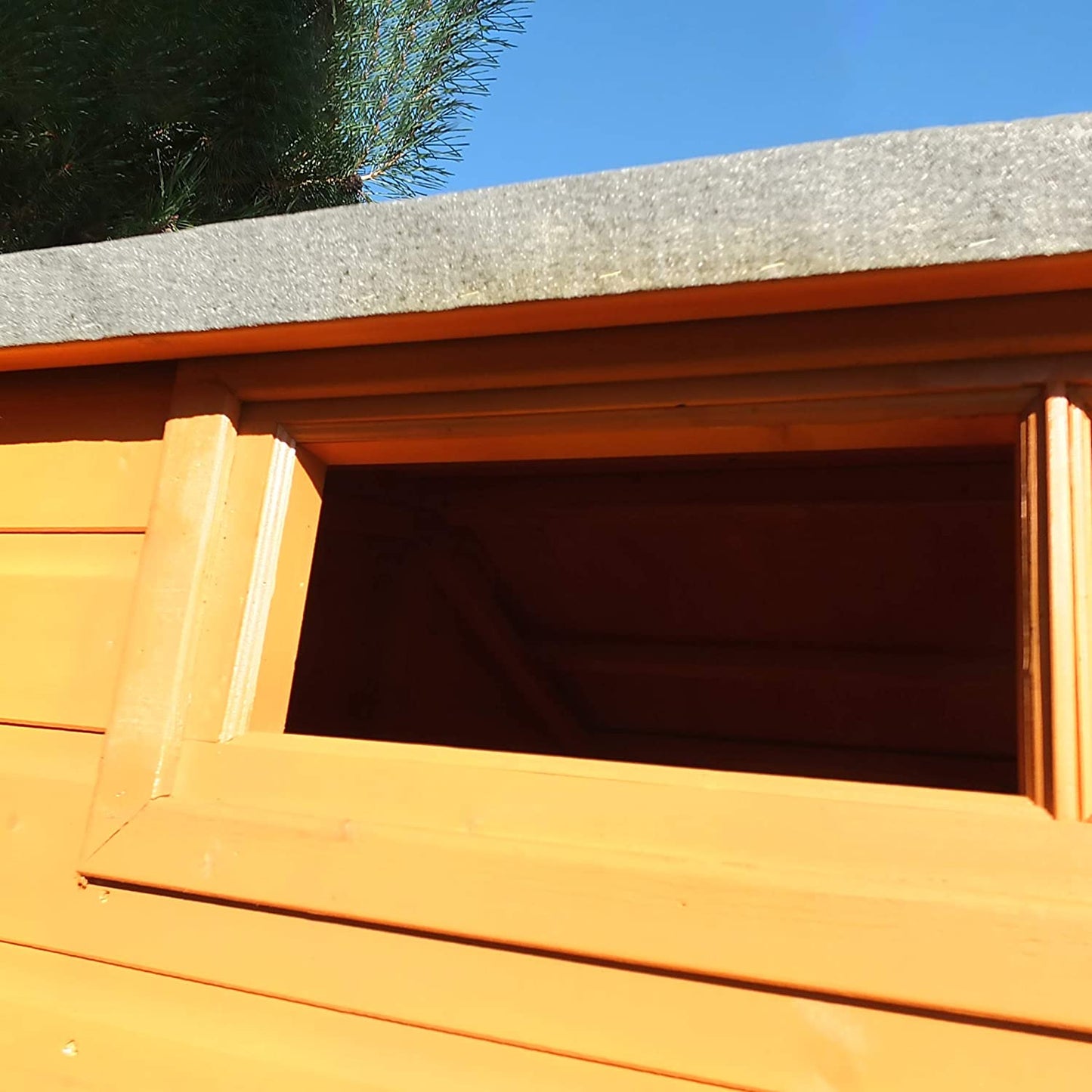 Shire Security Apex 10x10 Single Door Shed
