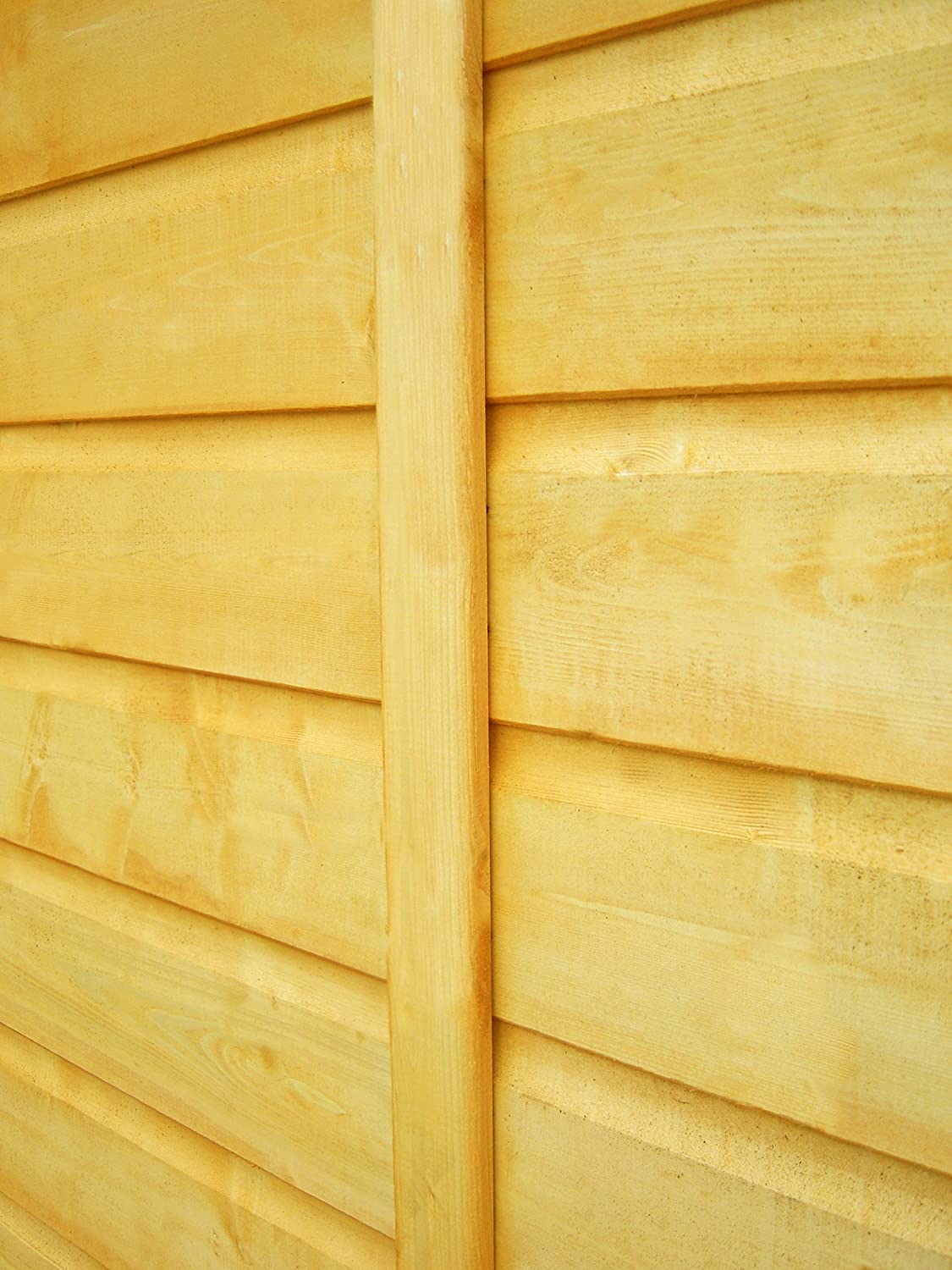 Shire Lewis 10x8 Single Door Shed