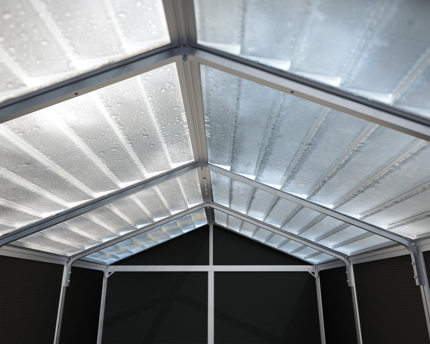 Rubicon 6 ft. x 8 ft. Garden Shed with Floor - Dark Grey Polycarbonate Panels
