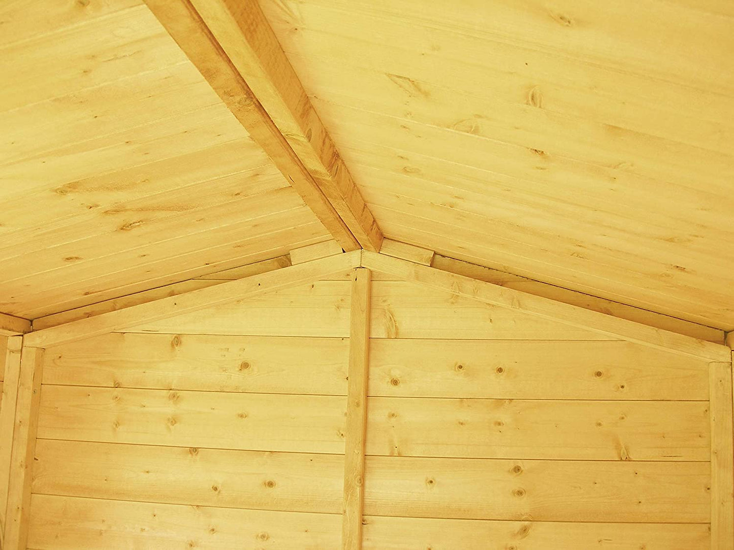 Shire Lewis 8x6 Single Door Shed