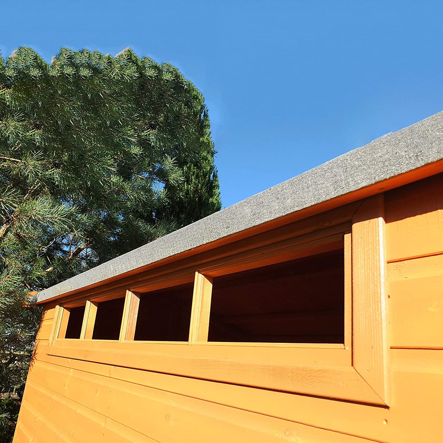Shire Security Apex 8x6 Single Door Shed