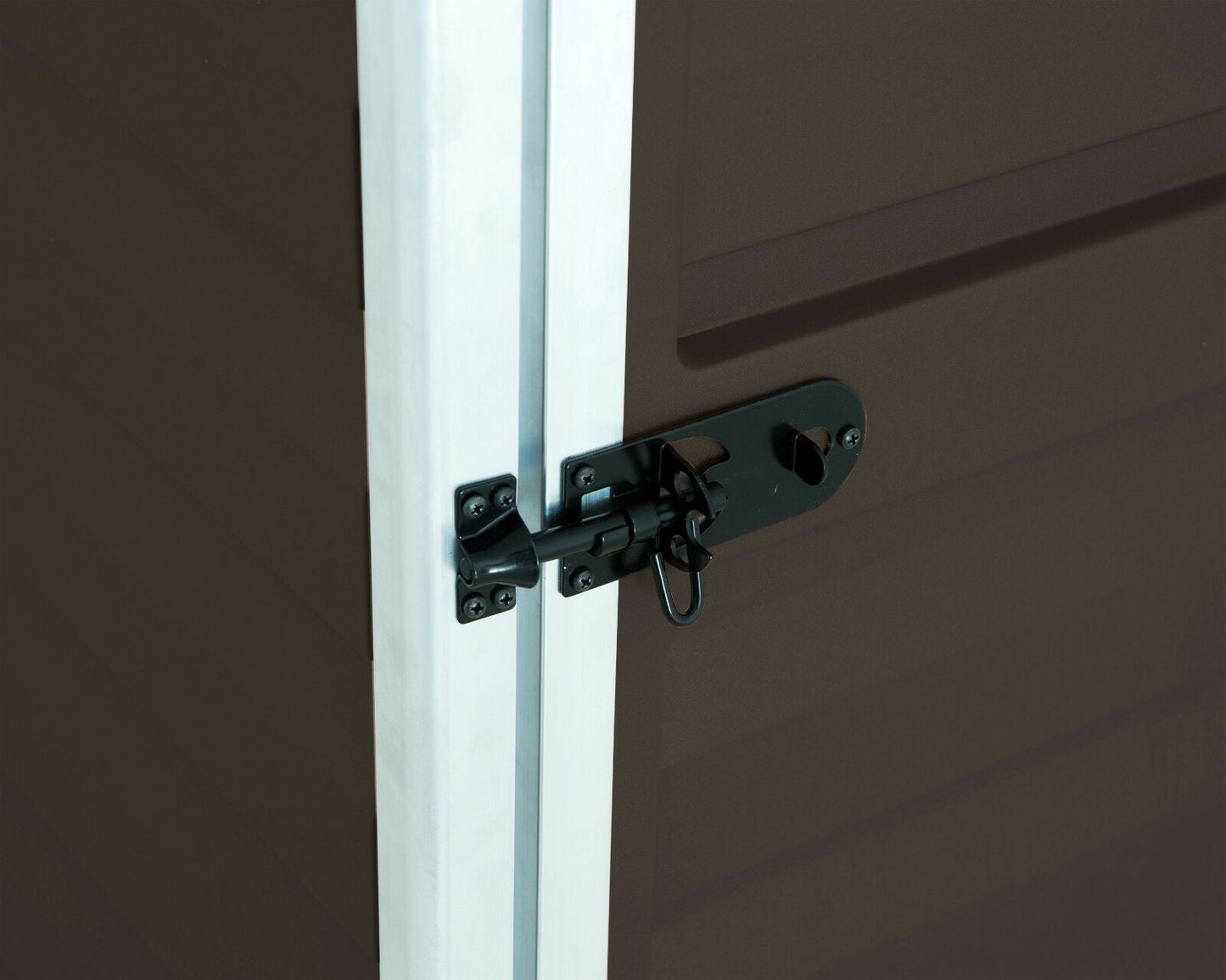 Palram - Canopia Skylight Brown Shed 6x8